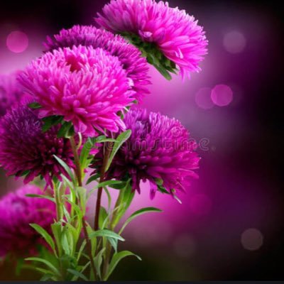 Christo66044992's profile picture. Never give up