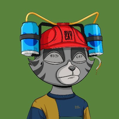 Raypol17's profile picture. 