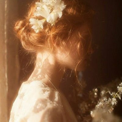 Leafspring6's profile picture. وإن نسائم الربيع الراحل تهفو أحياناً فتذكرنا بعمر مضيء، وليس لنا الحق في استرجاعه..🍁