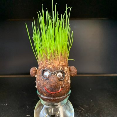 MrGreatfun1's profile picture. 