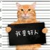 俗世俗人 (@nevertheless137) Twitter profile photo 俗世俗人 (@nevertheless137) Twitter profile photo