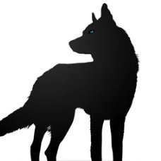 EminenciaPitag's profile picture. Solo es cuestión de ética. Somos lo que hacemos, no lo que decimos.