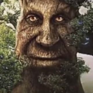 XanVan4's profile picture. 