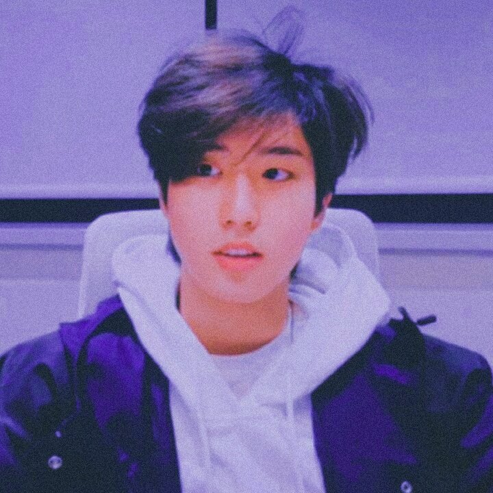 Dreams come true to those who truly want them. (SKZ/ZB1/AHOF)