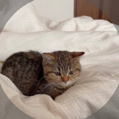 moon_light008's profile picture. 関東 24 IT専用垢