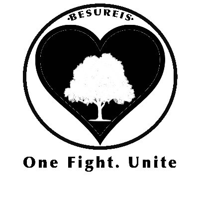 Besureis - One Fight. Unite