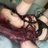 Mandicandi2_0's profile image