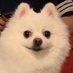 🏳️🌈💝🐬🌹 (@jaynyam) Twitter profile photo 🏳️🌈💝🐬🌹 (@jaynyam) Twitter profile photo