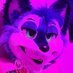 Dabba Fox 🦊@ TFF, FWA (@uowodab) Twitter profile photo Dabba Fox 🦊@ TFF, FWA (@uowodab) Twitter profile photo
