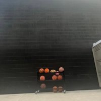 Left Broken Elbow (@leftbrokenelbow) 's Twitter Profile