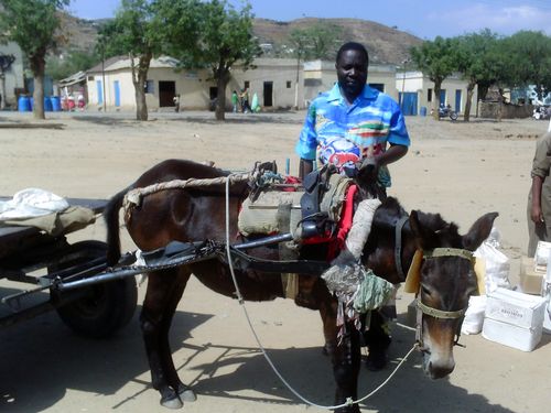 KituyiWerunga's profile picture. 