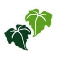 Ivy Bank Primary (@ivybankprimary) 's Twitter Profile