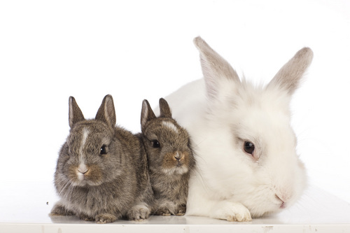 katlinsh's profile picture. 