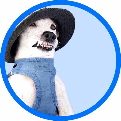 Tower on the goさんのプロフィール画像