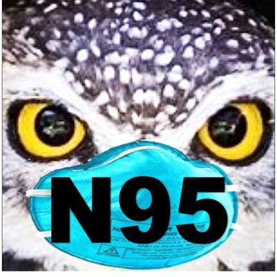 Medicine⚕MD Faculty, STEM🧬PhD.
DNA wrangler🧬.
Universal healthcare 4 ALL.
COVID: updated💉,🤲🧼🫧; high risk N95, test2treat.
Listen, read, learn from BIPOC