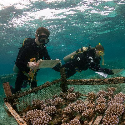 We are a dynamic research group at Newcastle University using curiosity driven and solution-based science to solve global challenges facing coral reefs.