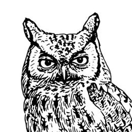itswhom_'s profile picture. Validation engineer. Pretty bad at coding... for now.