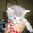 urgentcatsmiami's profile image