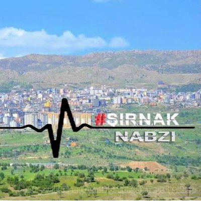 DiyarAtak8's profile picture. 