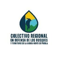 Colect Reg en Defensa de los Bosques y Territorio(@DefensaBosques) 's Twitter Profile Photo