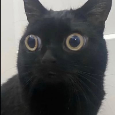 IIunknowII8's profile picture. R6 player