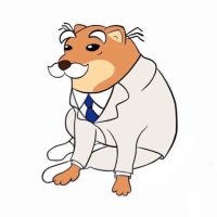 Dr. Cheems 𝕏 (@drcheems) 's Twitter Profile
