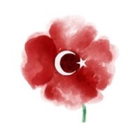 Mevsimbahar (@mevsimb87894359) 's Twitter Profile Photo Mevsimbahar (@mevsimb87894359) 's Twitter Profile Photo