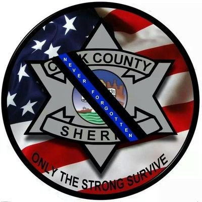 Cook County Sheriffs Office Profile