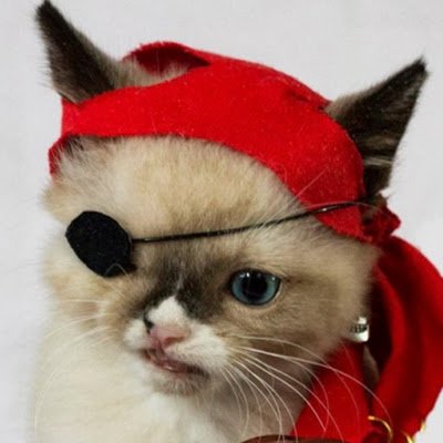 testa_jones's profile picture. 