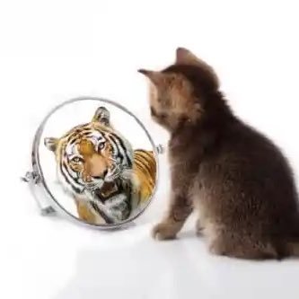 afeldshtey's profile picture. 