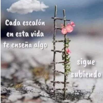 aliciadeuribe's profile picture. Stop thinking and just let the things happen