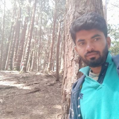 messv0101's profile picture. Software developer