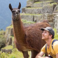 Angus Mackintosh (@iamangusmack) 's Twitter Profile