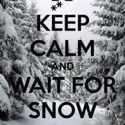 . (@el_ojodelbuho) 's Twitter Profile Photo