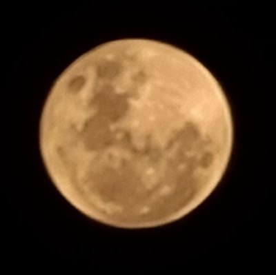 behitmd's profile picture. for everything....