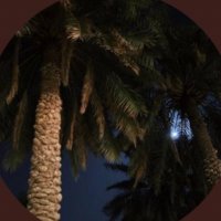M (@_1709_m) 's Twitter Profile