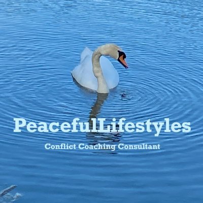 #PeacefulLifestyles is a conflict consultant organization dedicated to conflict coaching, peace education, mediation, and volunteering.  Contact us:🕊