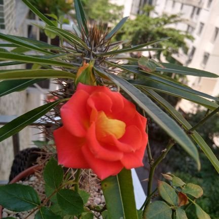 RayFlorencios's profile picture. 