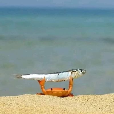 cucucami9's profile picture. 