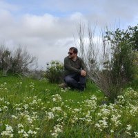 Rodrigo Mondaca (@mondacaquilpue) 's Twitter Profile Photo Rodrigo Mondaca (@mondacaquilpue) 's Twitter Profile Photo