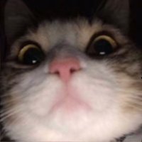 ๐๐ผ๐ฑ_๐ป๐ช๐ฏ๐ฎ (@__ach_raf__el) 's Twitter Profile