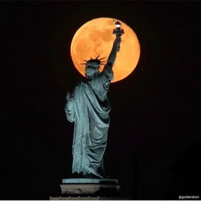 avatarsaysitall's profile picture. 