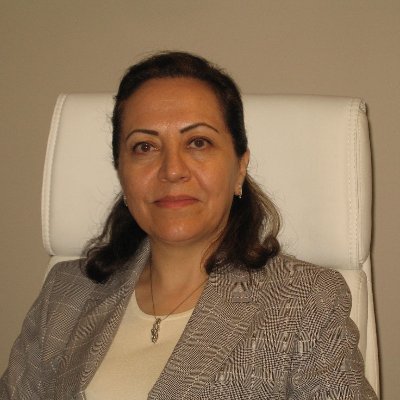 FattanehA's profile picture. Software Engineer - Machine Learning