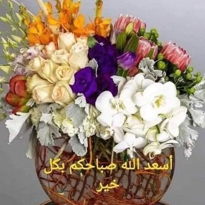 دكتوراه في الشريعة/ وزارة الأوقاف والشؤون الدينية