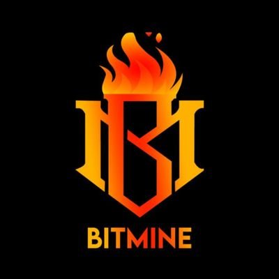 Bitmine is a Bitcoin mining company which mines Bitcoin on daily basis. Bitmine is very old mining company working from 2018.