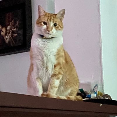 leti_meza's profile picture. 