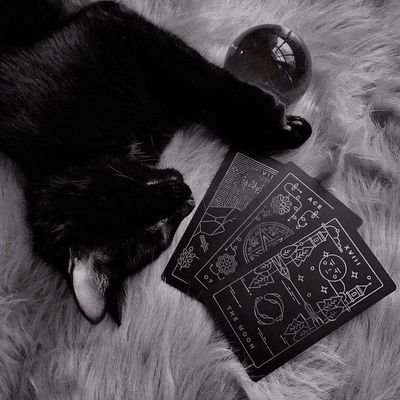 LuceneTarrot's profile picture. 🐇 🔮 ⋆·˚ ༘ * ᴮˡᵃᶜᵏ ᶜᵃᵗ'ˢ ᵐᵃᵍⁱᶜᵃˡ ˢᵖᵃᶜᵉ

╰─ ❝ᴀʟᴡᴀʏꜱ ᴡᴇʟᴄᴏᴍᴇ ꜰᴏʀ ʏᴏᴜ❞ ! .°• ੈ♡₊˚•.

▄  รับดูไพ่ทาโร่ต์  ราคาน่ารัก🐾▄

00’ | ᥫ᭡ ° Ｌｕｃｅｎｅ | ♏ | #RVforLucene ♡⠀

─