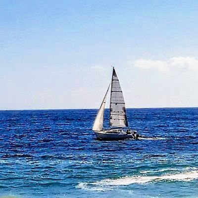 librosmanuales's profile picture. Catálogos Manual de Taller                     Ilustración 🖋