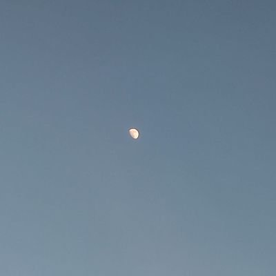 MirayaKonig's profile picture. 8:50 ❄️