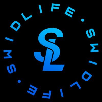 An independent media company with a focus on artist discovery and empowerment. Music • Sneakers • Culture • Art. 📩:contact@swidlife.com